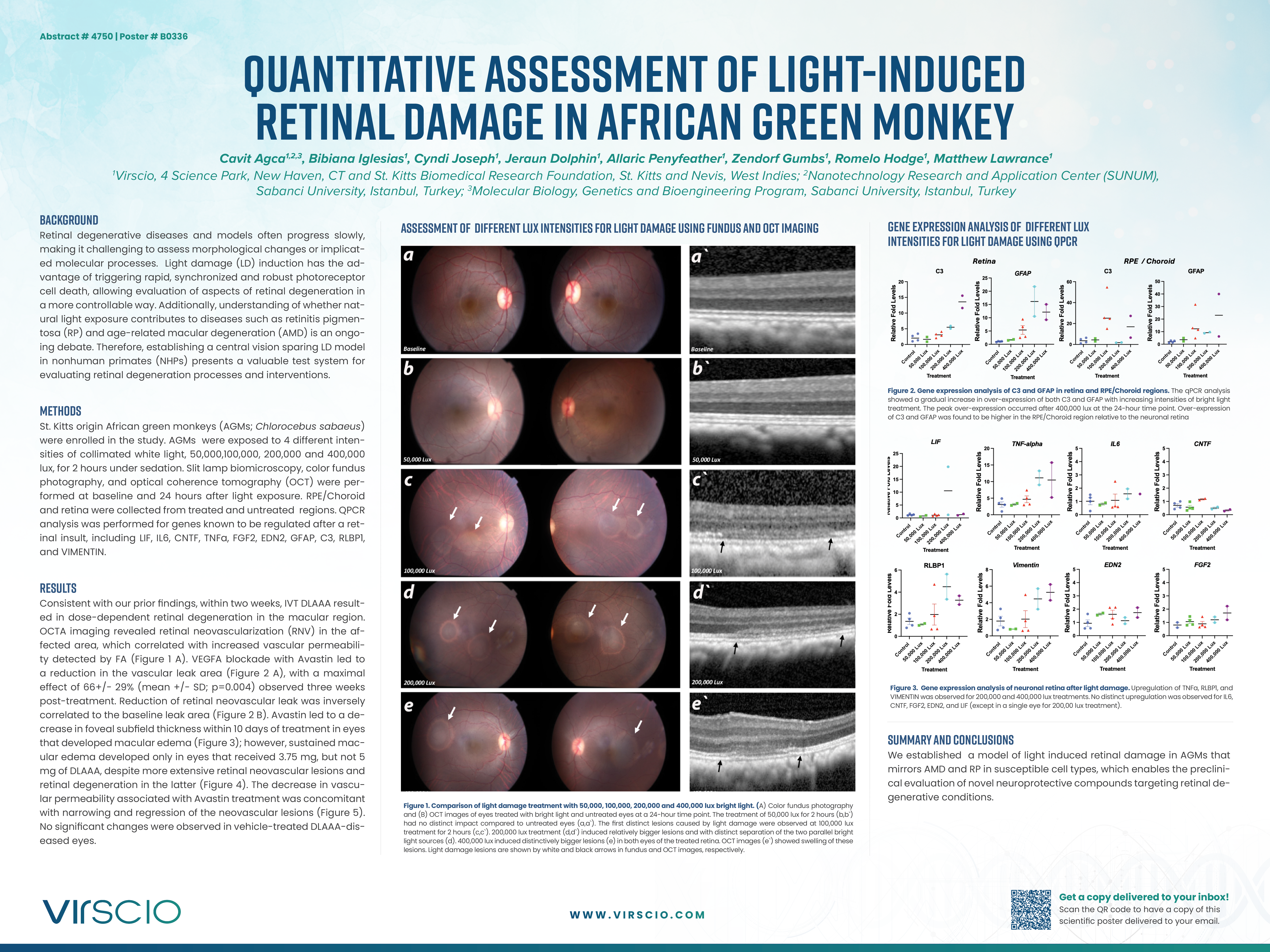 V-MK-24-0008 Quantitative assessment of light-induced retinal damage in African green monkey