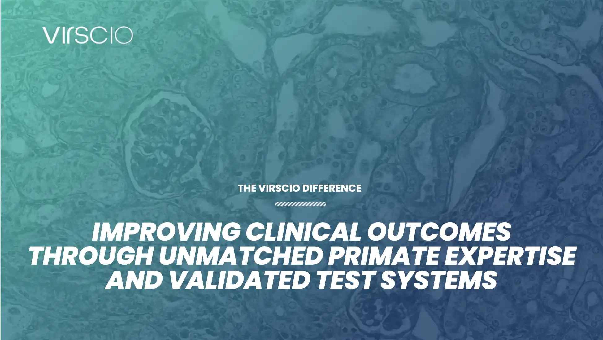 Virscio Corporate Oveview